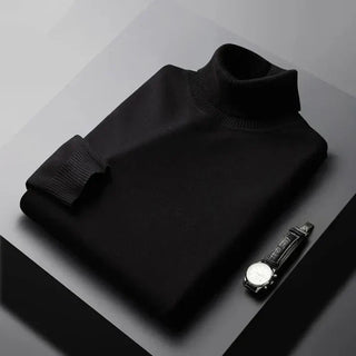 Raphaël | Pull col roulé en maille